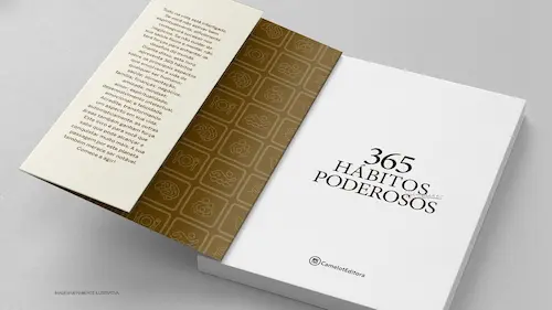 Livro 365 Hábitos Simples e Poderosos — Lombada e acabamento